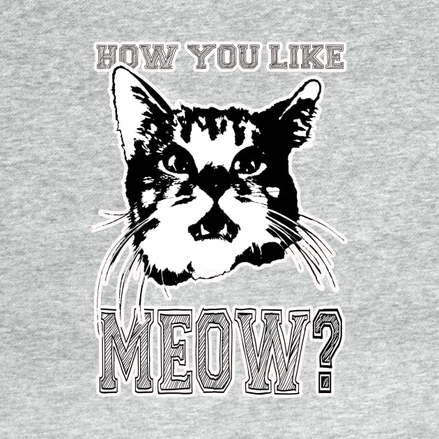 HOW YOU LIKE MEOW/ by OG Ballers